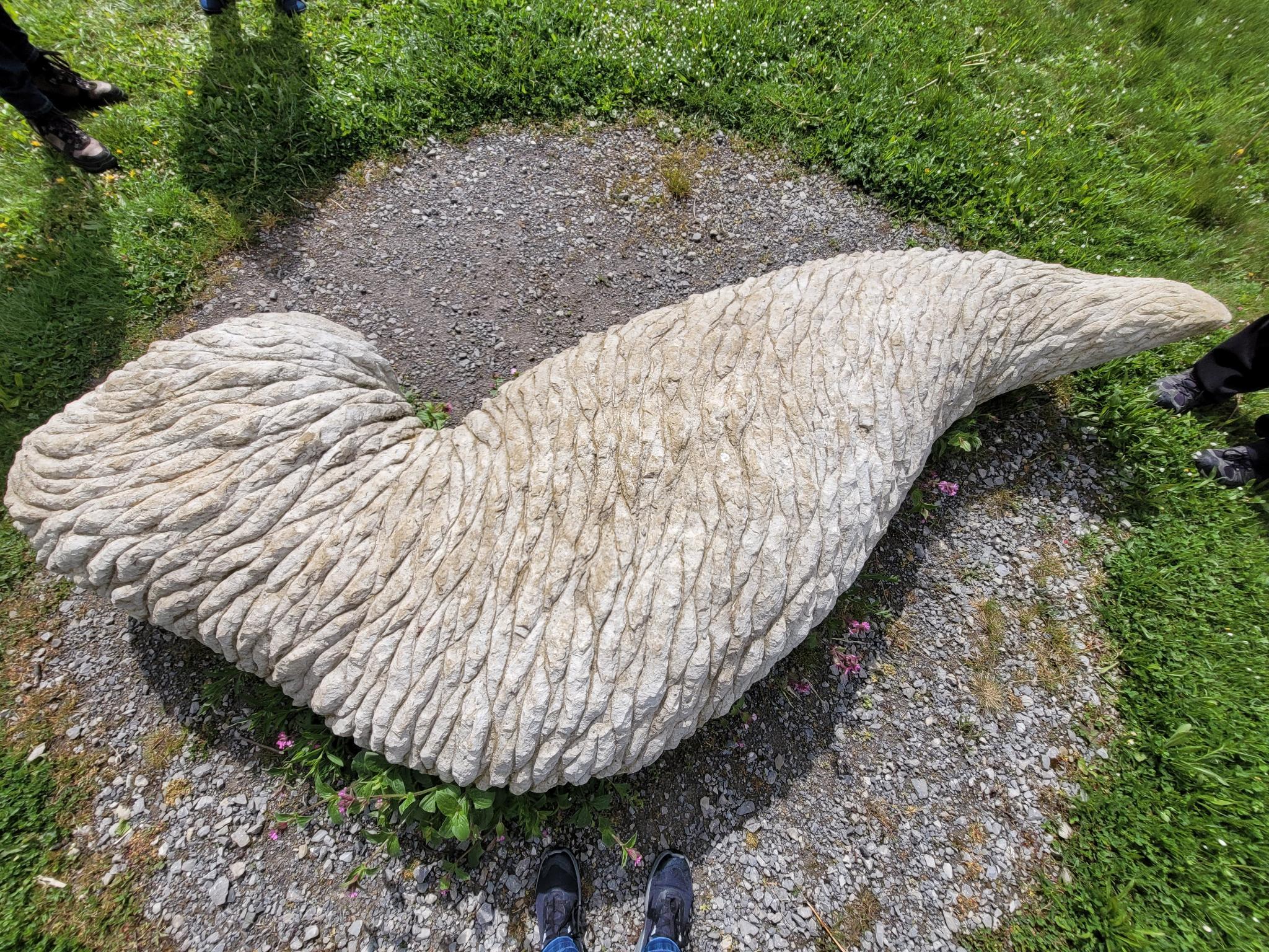 2024 04 21 141020 006